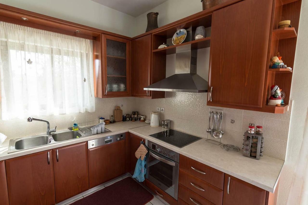 Big Family House In Village * Mesochoria