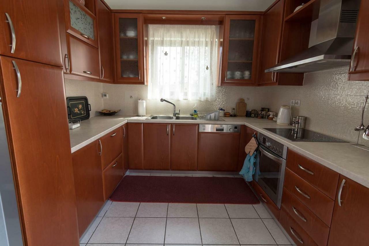 Big Family House In Village * Mesochoria