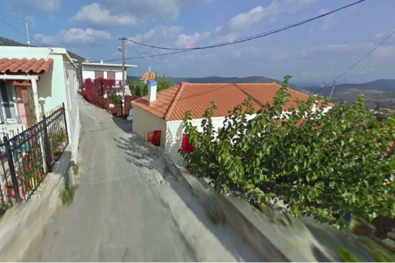 Apartment Big Family House In Village *
