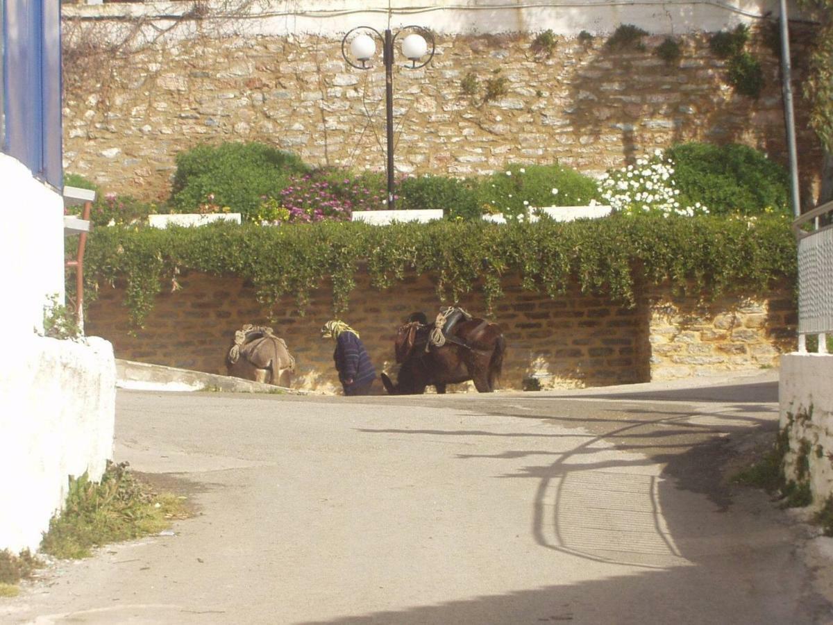 Big Family House In Village